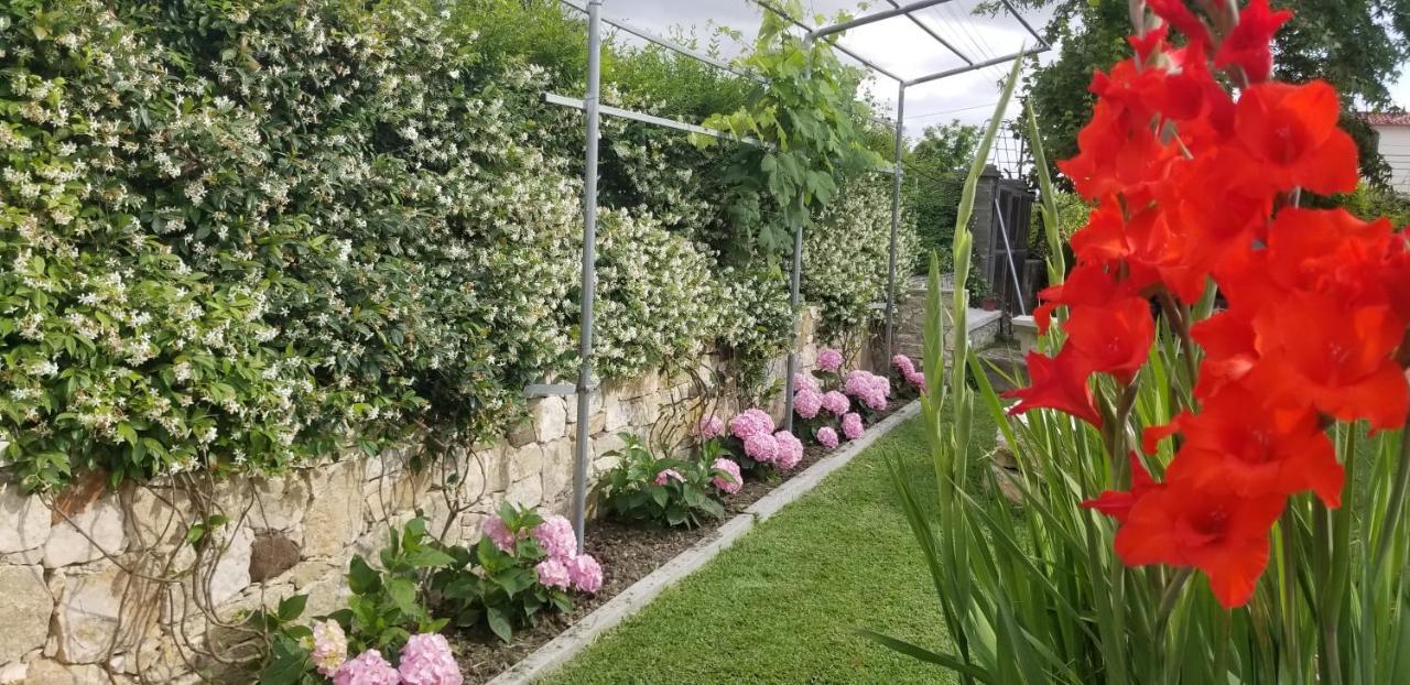 Country House Bubullime Albania Lushnjë Eksteriør bilde