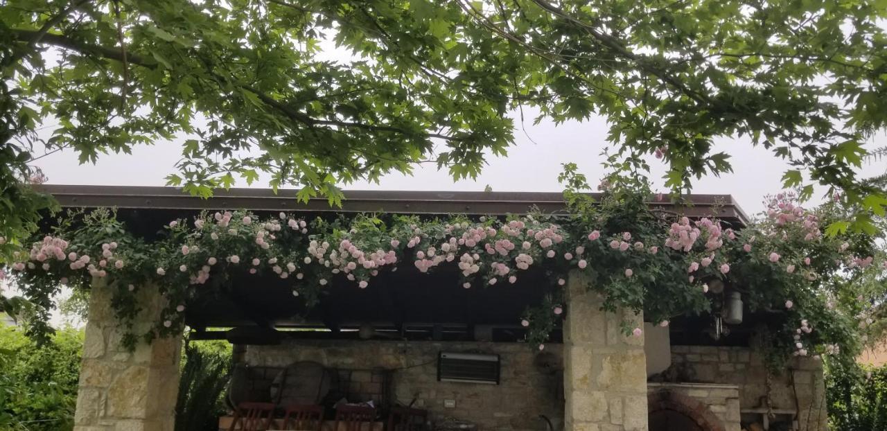 Country House Bubullime Albania Lushnjë Eksteriør bilde