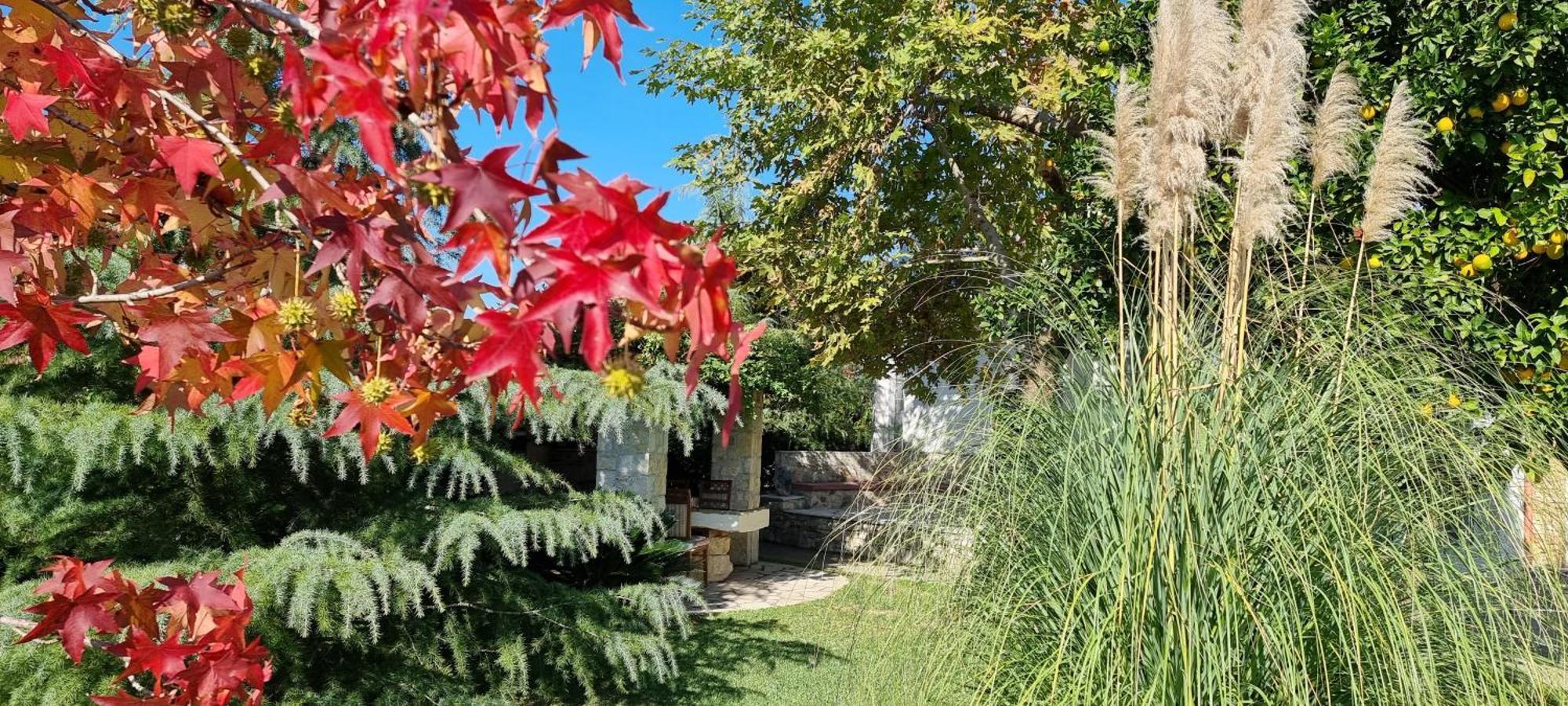 Country House Bubullime Albania Lushnjë Eksteriør bilde